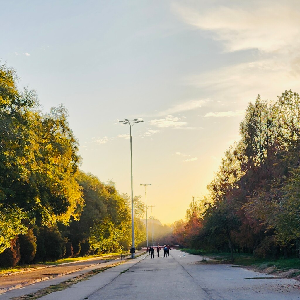 Elbek bog'ida tozalash tadbiri 