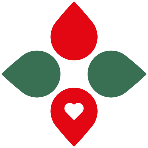 Stipendium Hungaricum